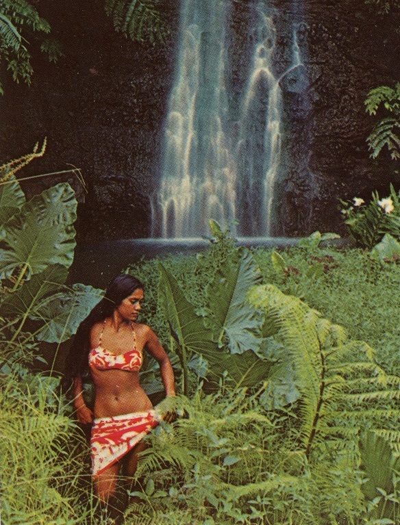 Hawaiian Tropical Beauty Postcard